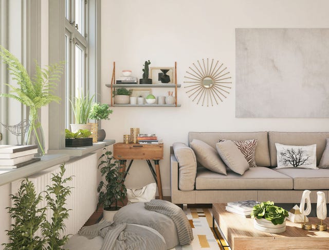 paso a paso para hacer una elegante estantería de diseño para decorar la pared con plantas pequeñas