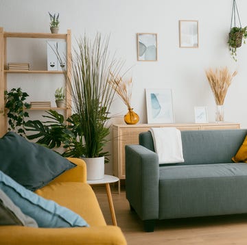 Salón con plantas salón con plantas
