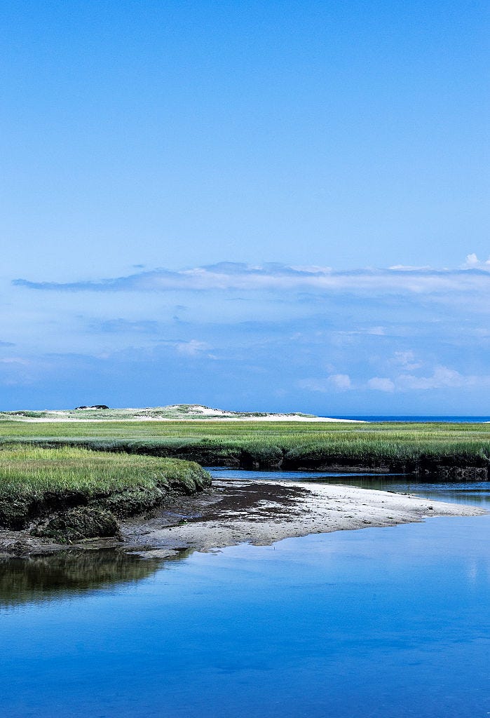 salt marsh coastal landscape