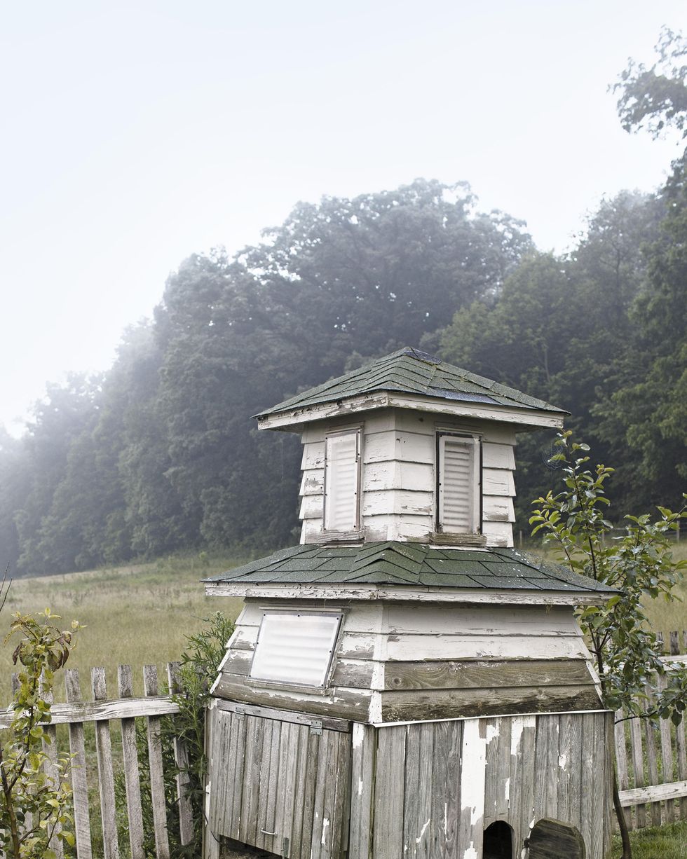 A Chicken Coop Made From a Salvaged Cupola