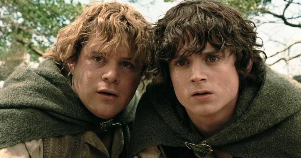 sam, frodo, lord of the rings, elijah wood, sean astin