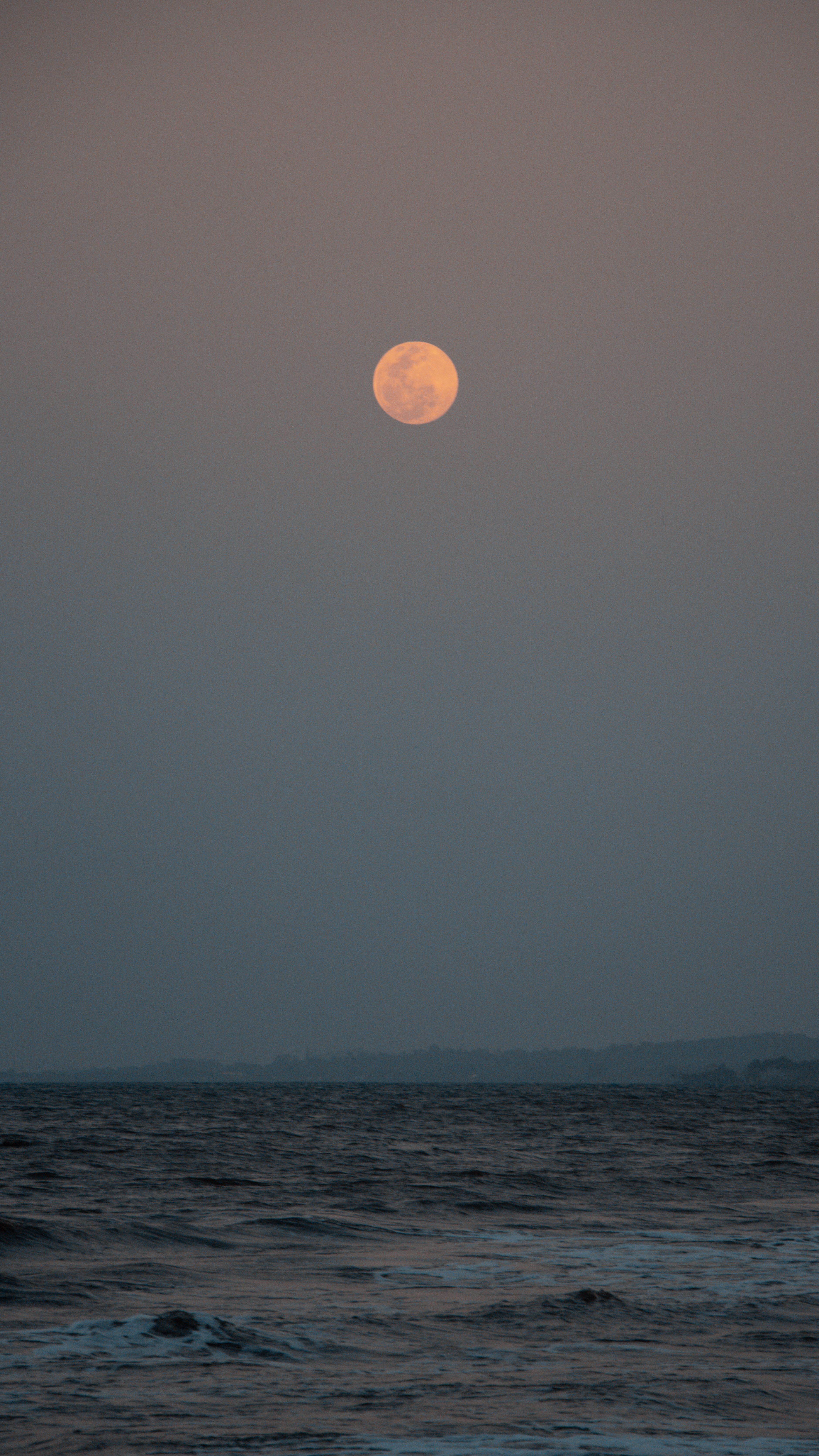 Oroscopo, gli effetti della luna piena in Scorpione: mille emozioni per  Gemelli e Pesci - Giornale di Sicilia