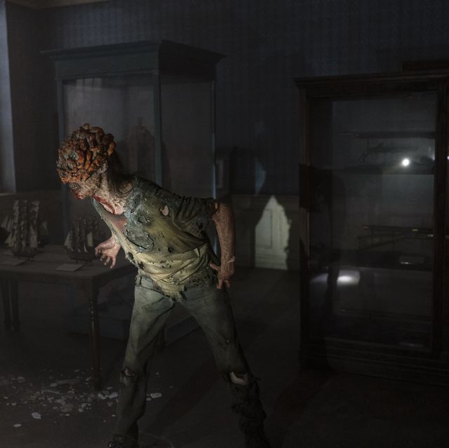 The Last Of Us Episode 2: The Cordyceps Fungus Explained and
