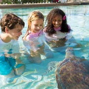 Best Family Vacations family vacation destinations