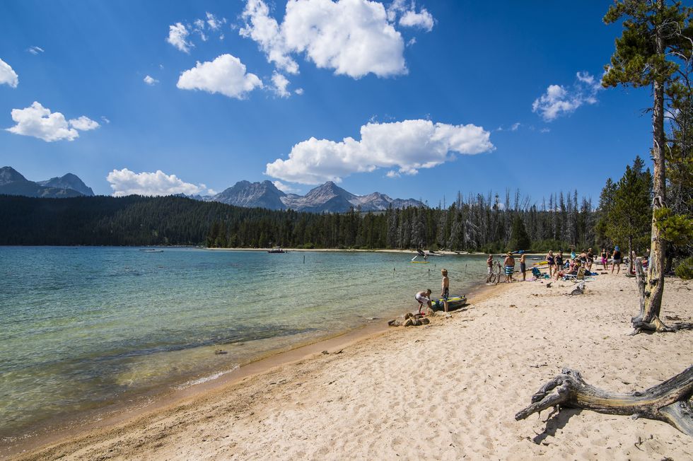 sandy beach on redfish lake in a valley north of sun valley, sawtooth national forest, idaho, united states of america, north america