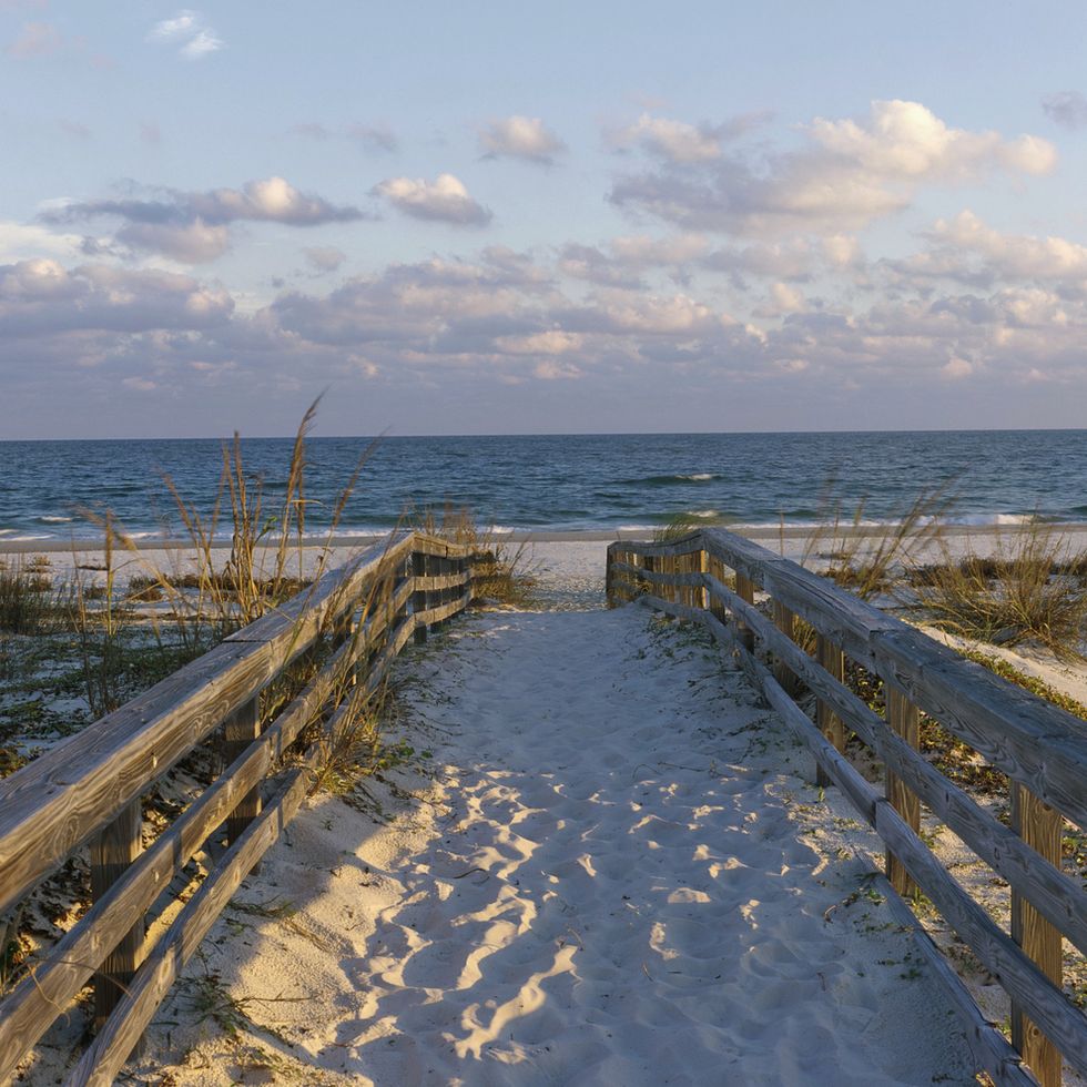 sandy walkway leading to a beach