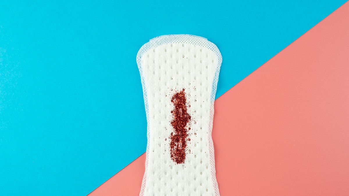 preview for Can You Get Pregnant On Your Period? | Not Dumb Questions
