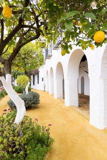 jardín del palacio ducal de medina sidonia