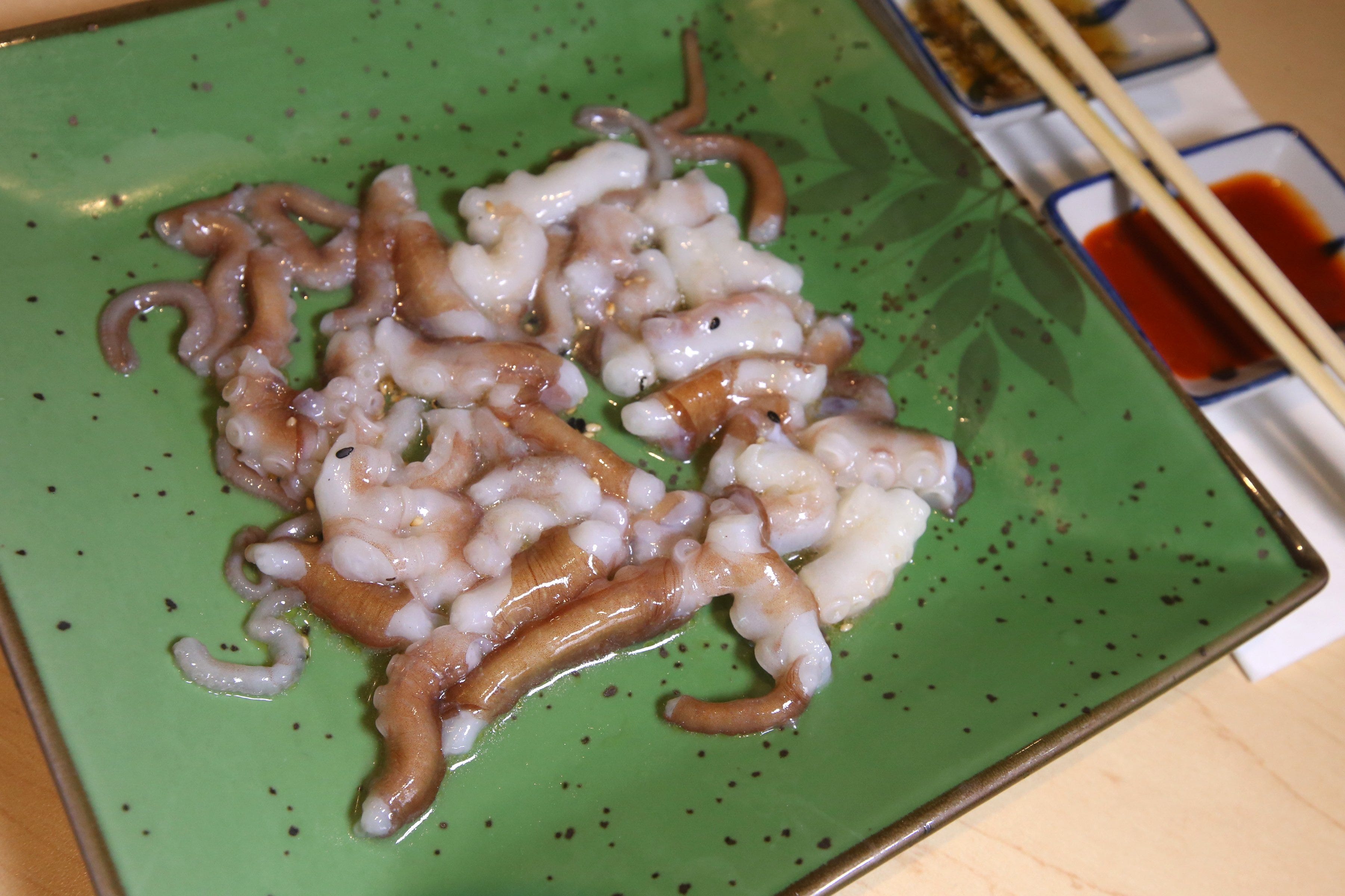 toronto, on   january 5   picture of korean dish sannakji at marado sushi the dish, with still moving octopus legs, has garnered 2 complaints from peta        vince talottatoronto star via getty images