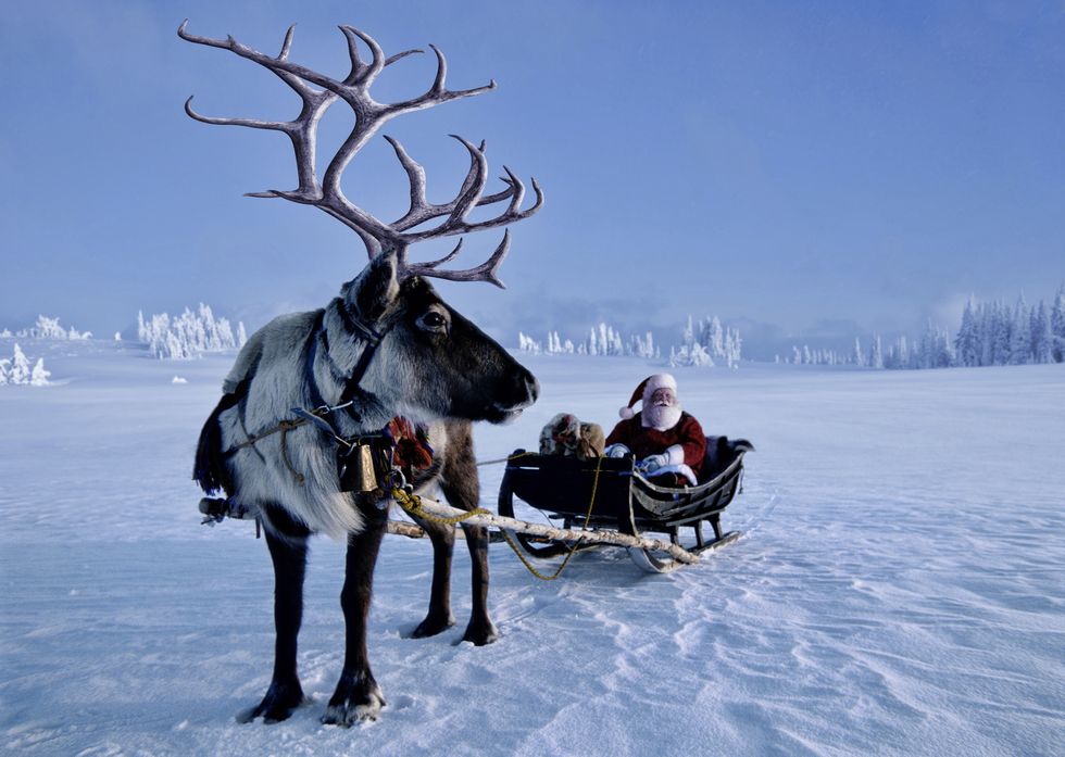 santa and reindeer, norway