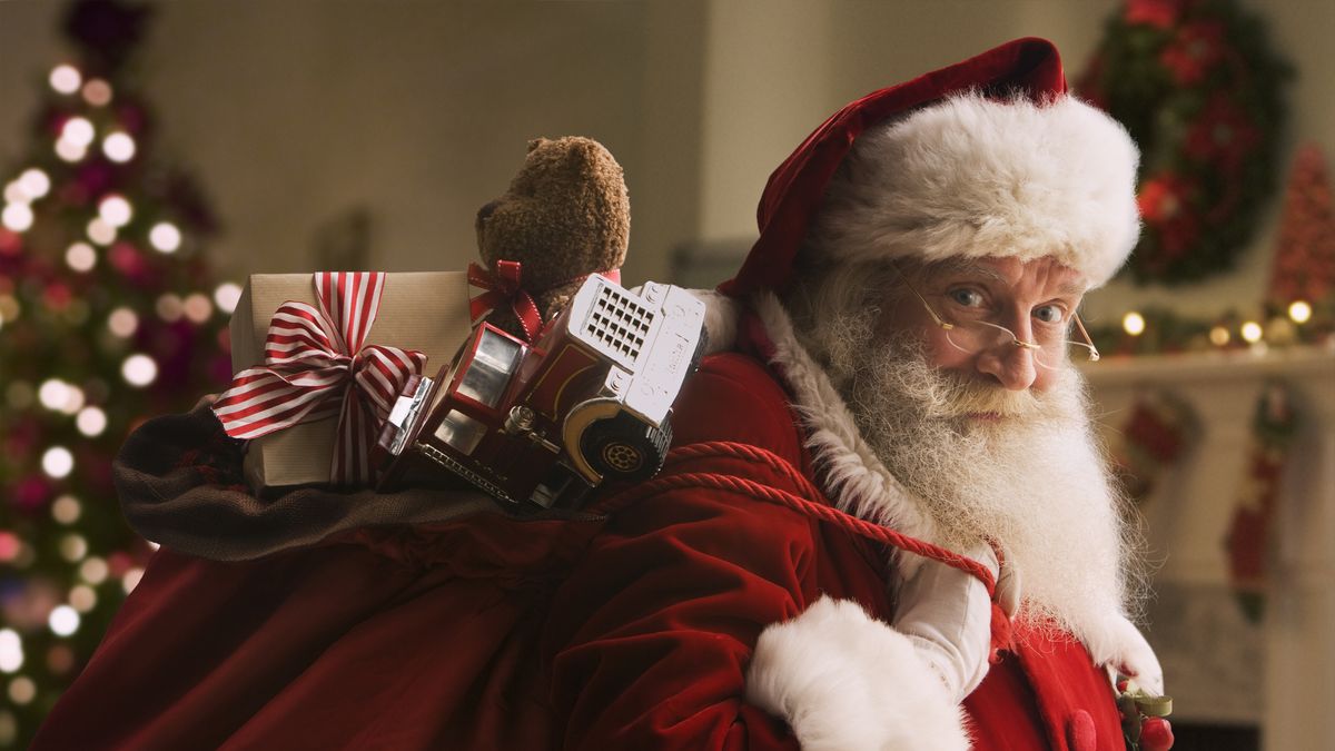 Christmas Light Storage Bag – St. Nick's Choice