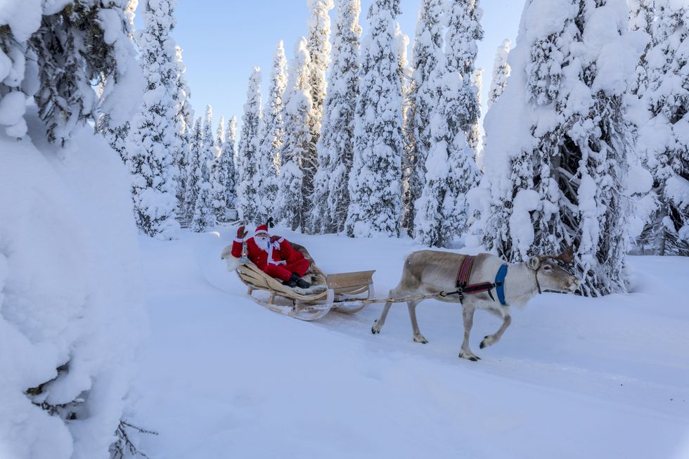 santa claus on reindeer sleigh in the snowy forest, ruka kuusamo, northern ostrobothnia region, lapland, finland
