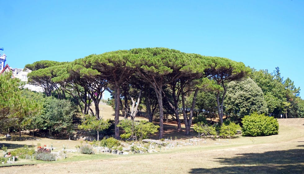 ciudades, parques, españa, correr, verano