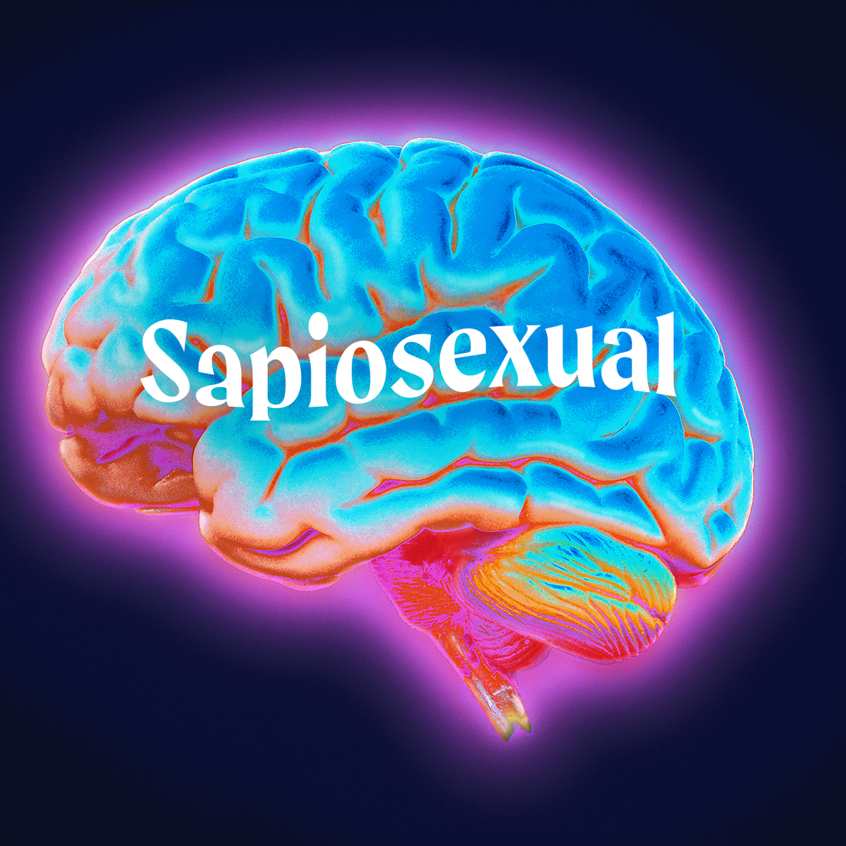 Sapiosexual Definition and Meaning - What Is Sapiosexuality?