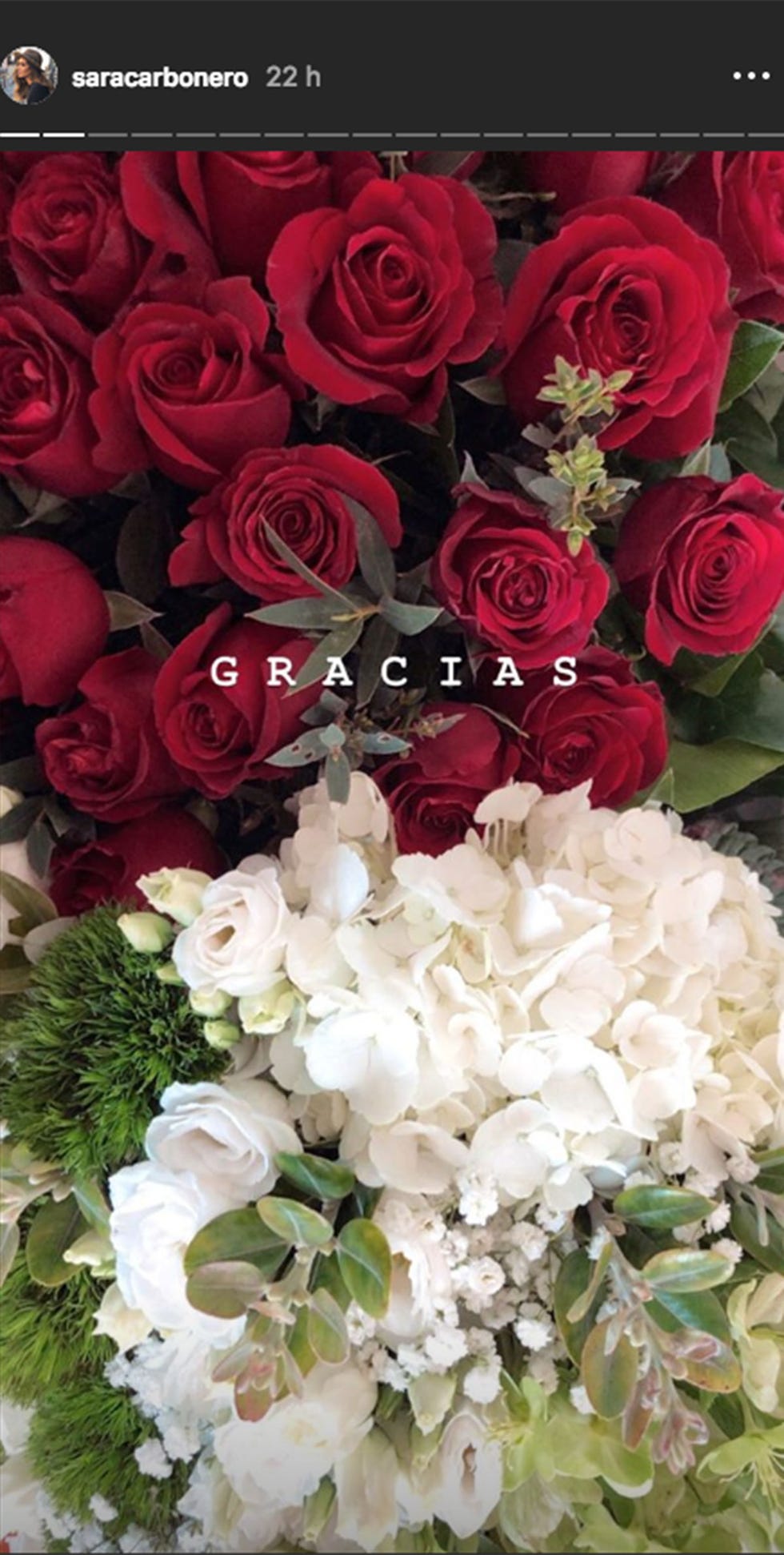 Sara Carbonero regalos 35 cumpleaños