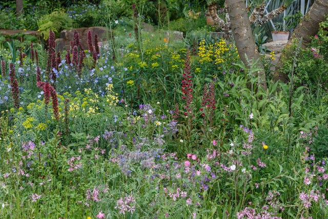 Chelsea Flower Show Winners: Andy Sturgeon's M&G Garden Best In Show