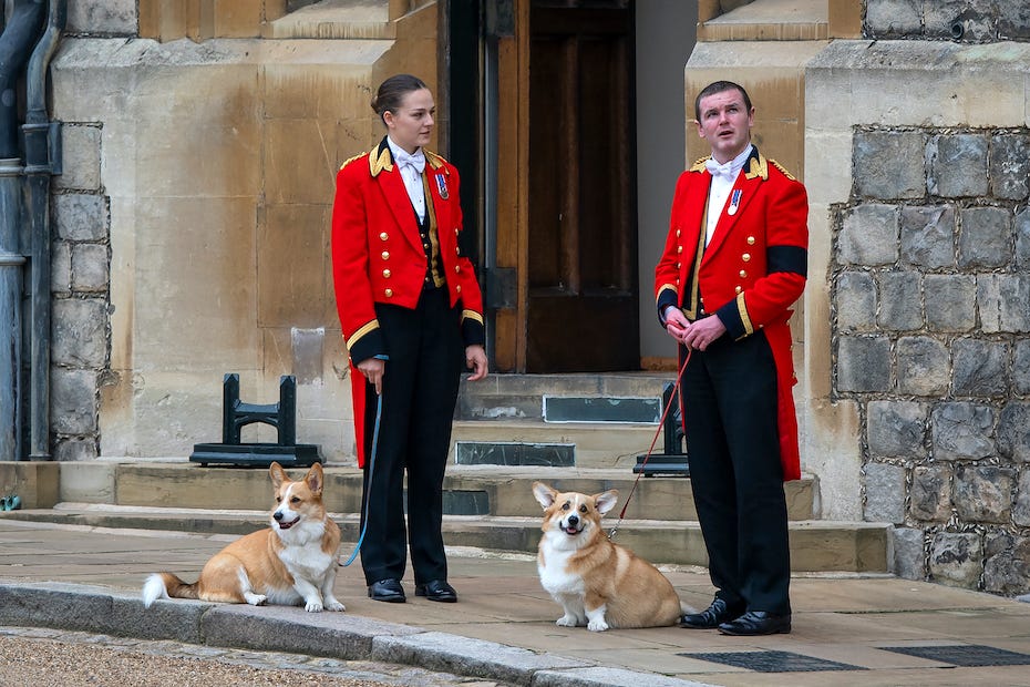 Sarah Ferguson gives update on Queen's corgis after adopting them