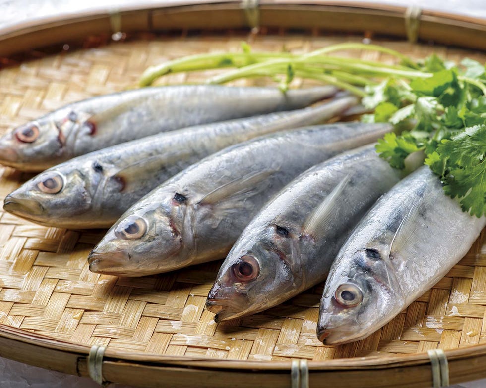 Sardinas