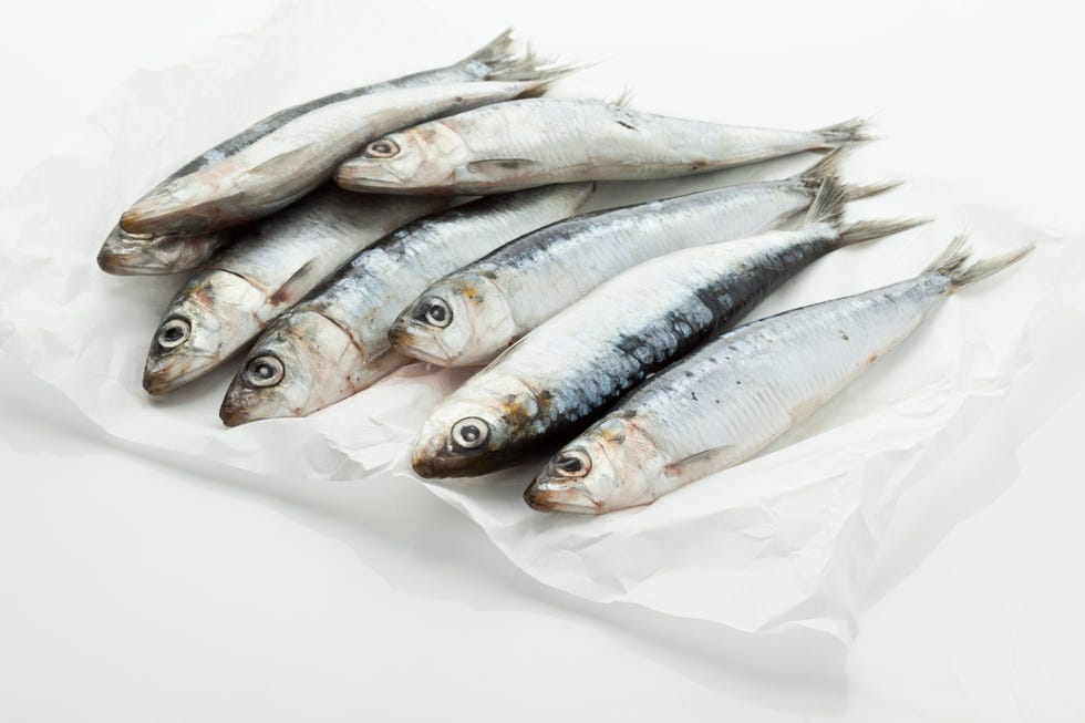 sardinas