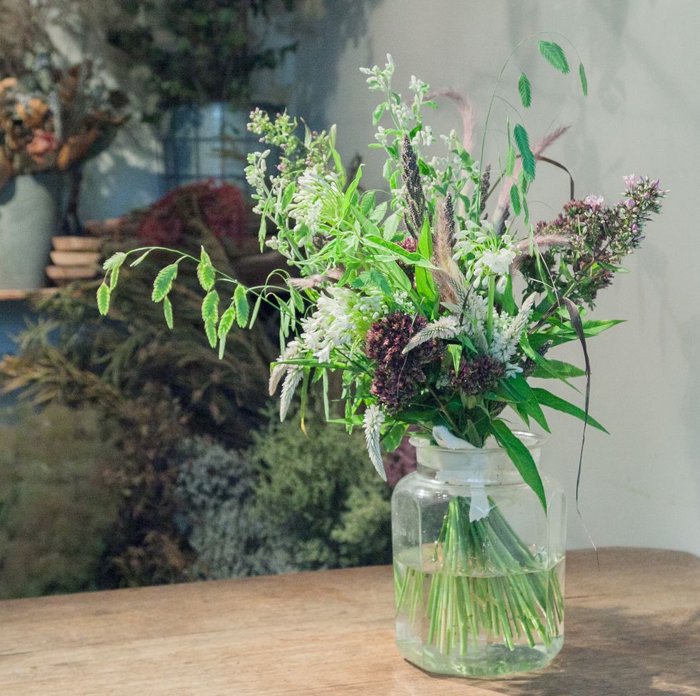 Flower, Green, Plant, Flowerpot, Mason jar, Lavender, Houseplant, Vase, Bouquet, Botany, 