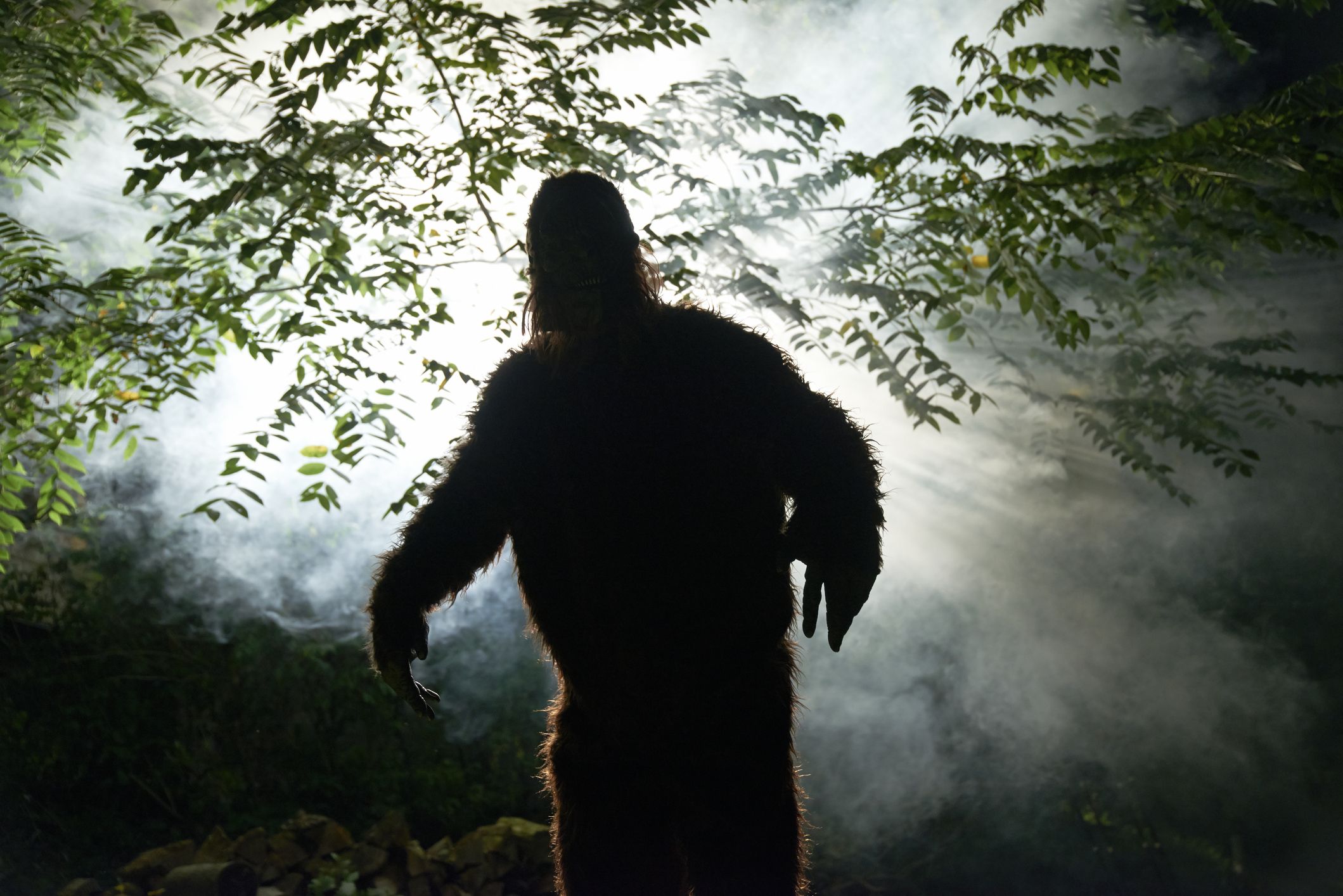Bigfoot Lover's Guide to Oregon - Travel Oregon