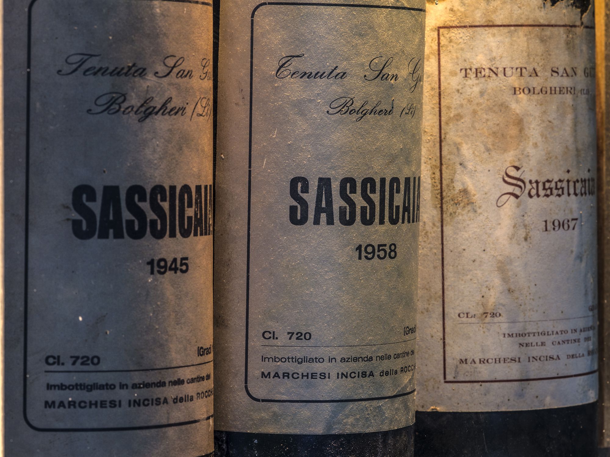 Vino Sassicaia. Ecco perché è cosi pregiato. - Degustibuss