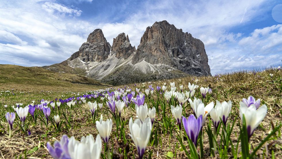 sassolungo