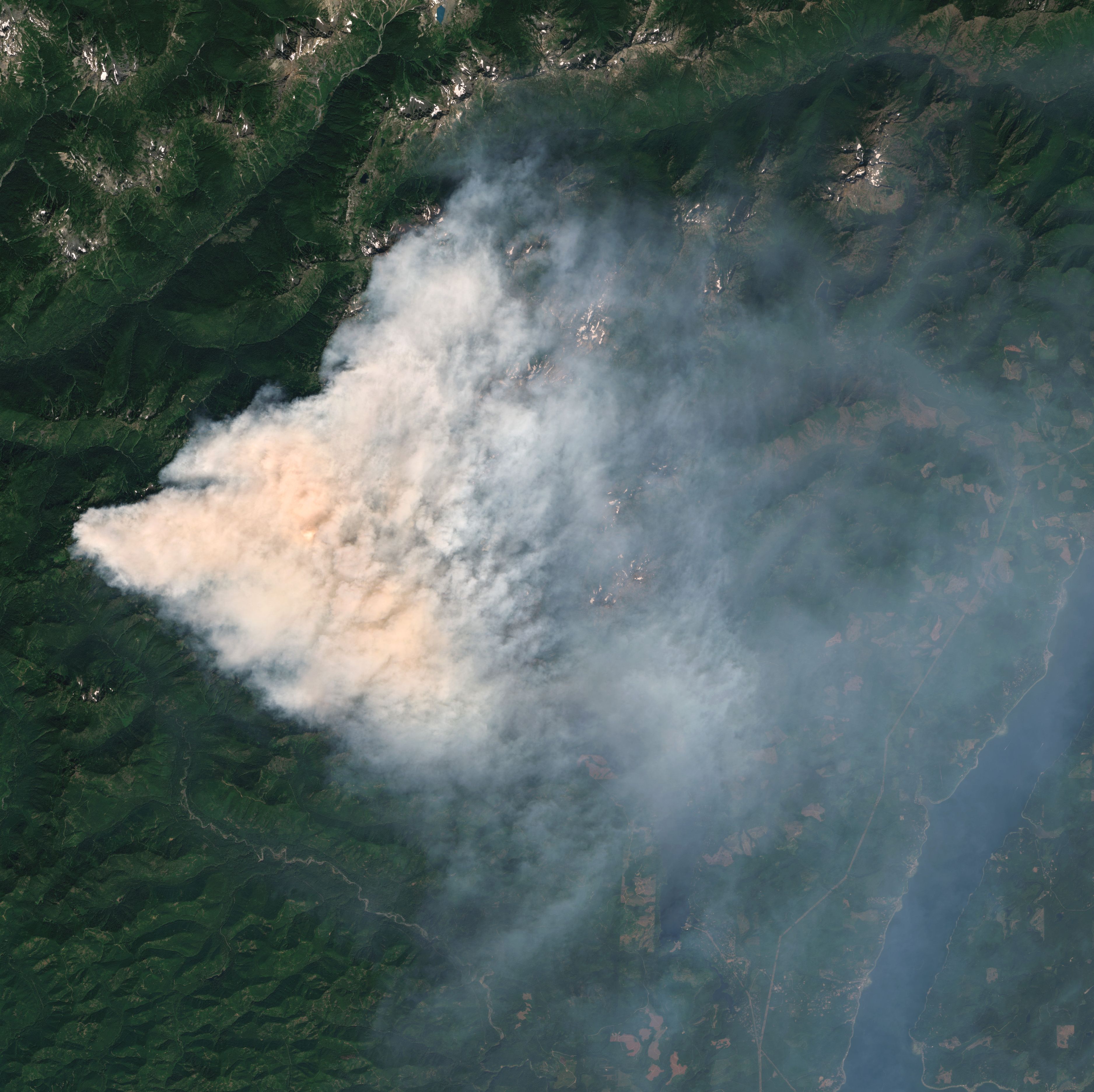 Federal Agents Arrested Firefighters During a Forest Fire in Washington 