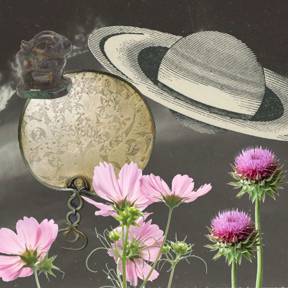 combination of celestial botanical and detailed decorative elements
