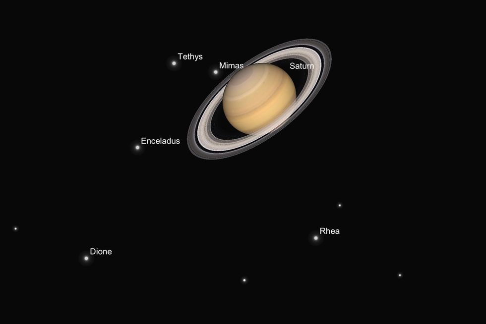 In deze illustratie wordt getoond hoe Saturnus en zijn manen er eind juni zullen uitzien  bezien door een telescoop