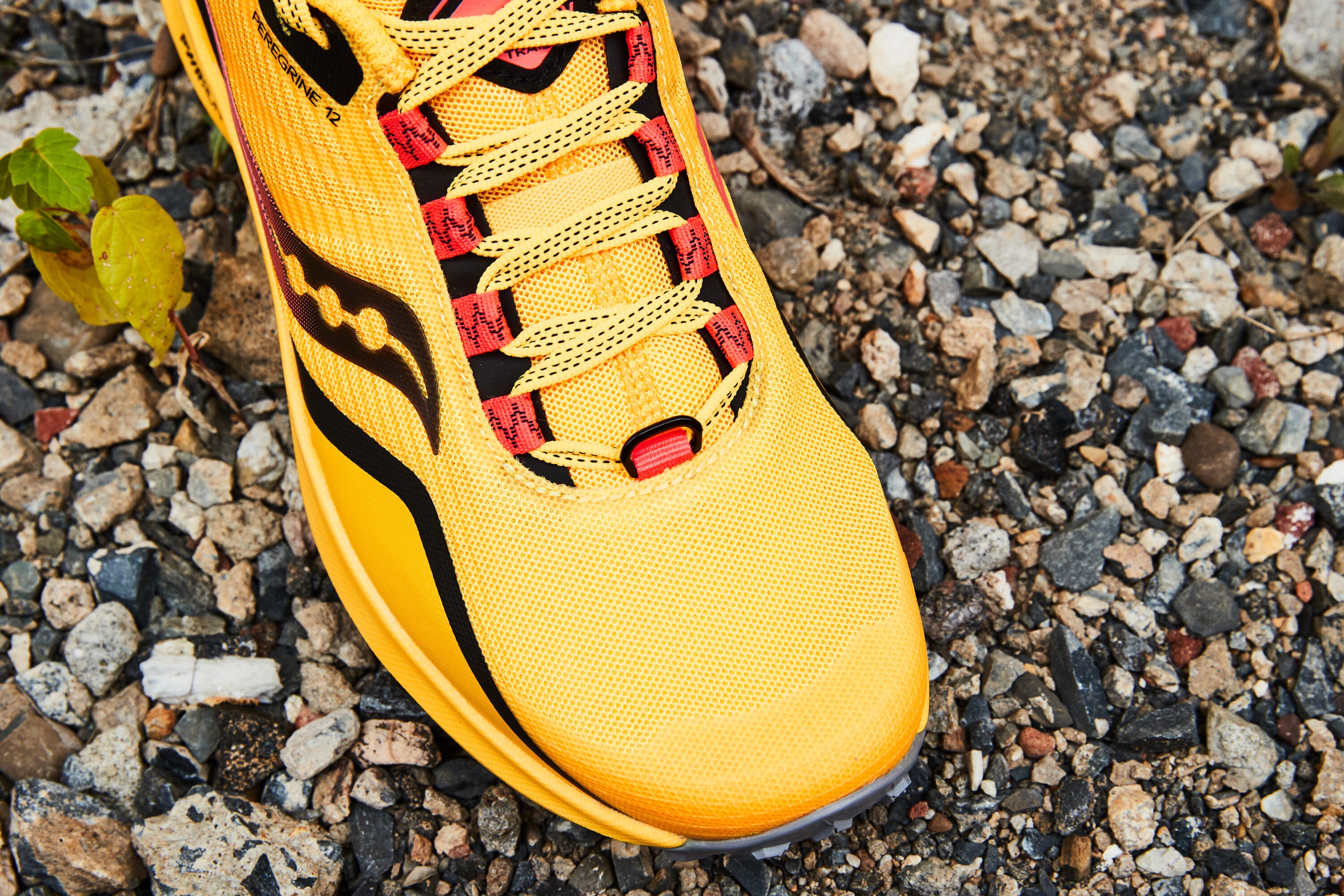 saucony peregrine 12