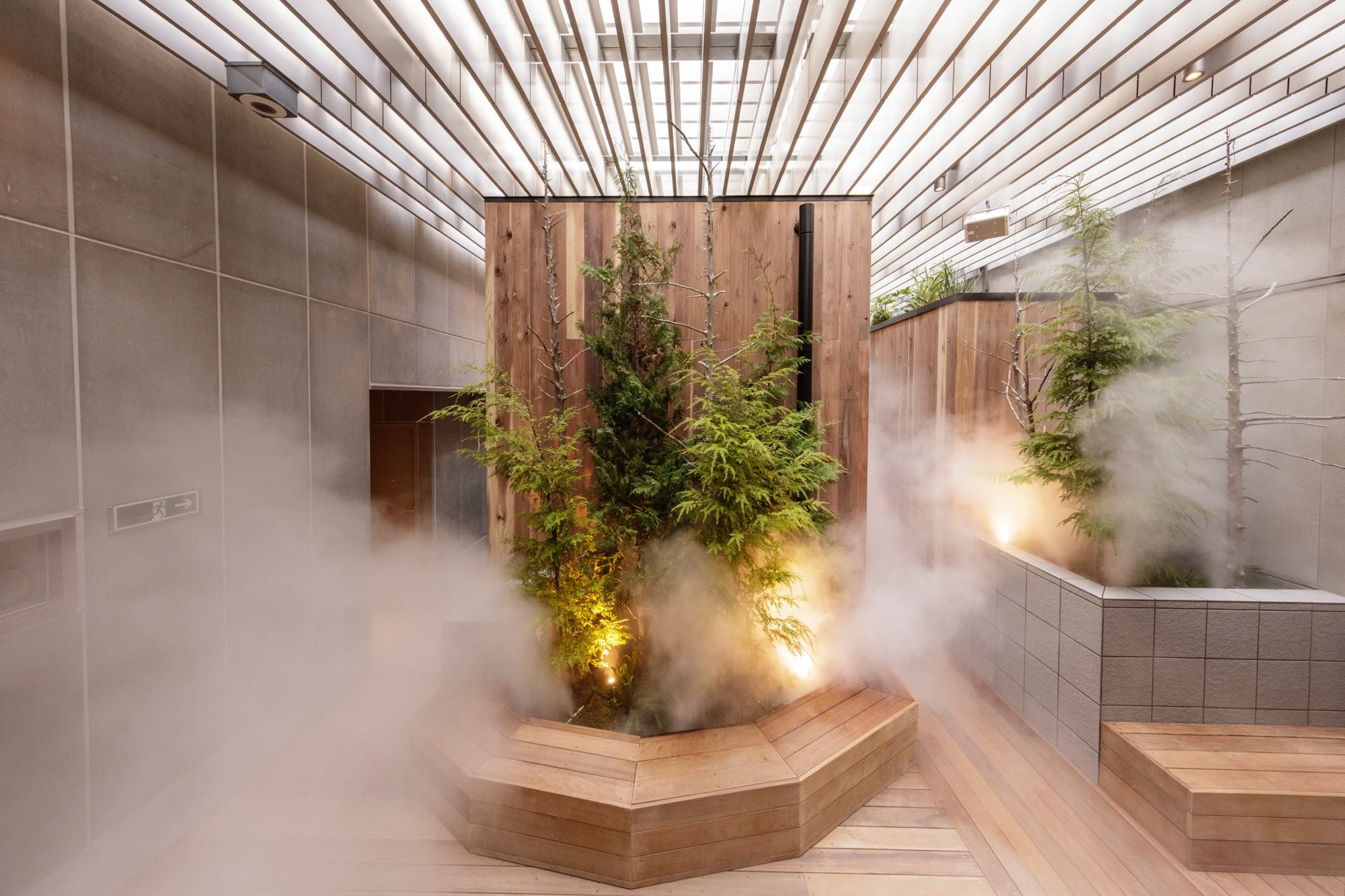 saunas-lampi-1671519407.jpg