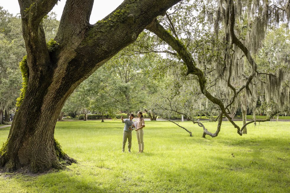 presidential initiative – summer 2022 – scad ask – scad research – good560 savannah tree foundation – good560 savannah tree foundation staff zoe rinker, executive director sydney young, field manager grace wilson, development coordinator – the stage – photography courtesy of scad