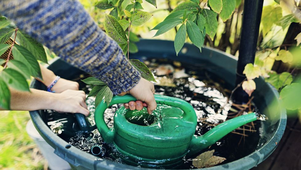 How to save water when you garden