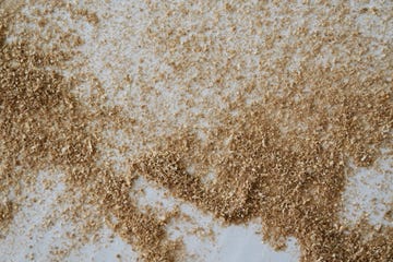 sawdust scattered