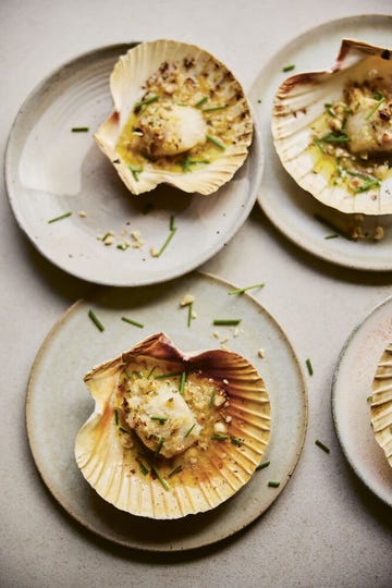 scallops in the shell