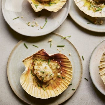 scallops in the shell scallops in the shell