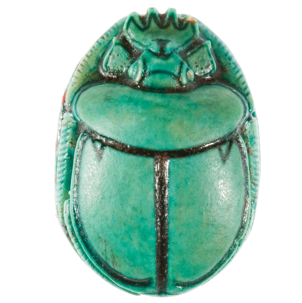scarab beetle