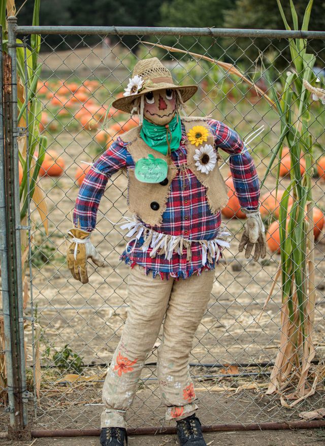 13 Best DIY Garden Scarecrow Ideas And Tutorials, 54% OFF