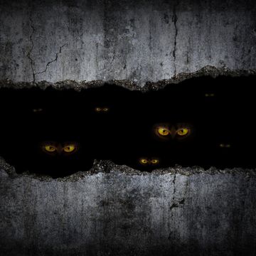 scary eyes in damaged grungy crack and broken concrete wall and the dark