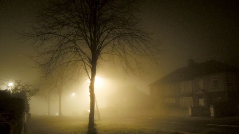 spooky house with tree and fog