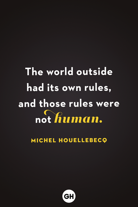 scary quotes michel houellebecq