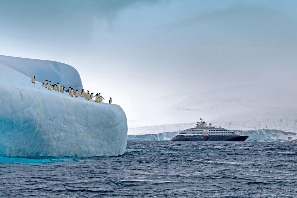 scenic eclipse cruise ship antarctica adelie penguins