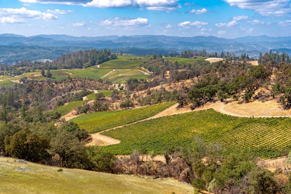 scenic overlooking alexander valley in sonoma county, california