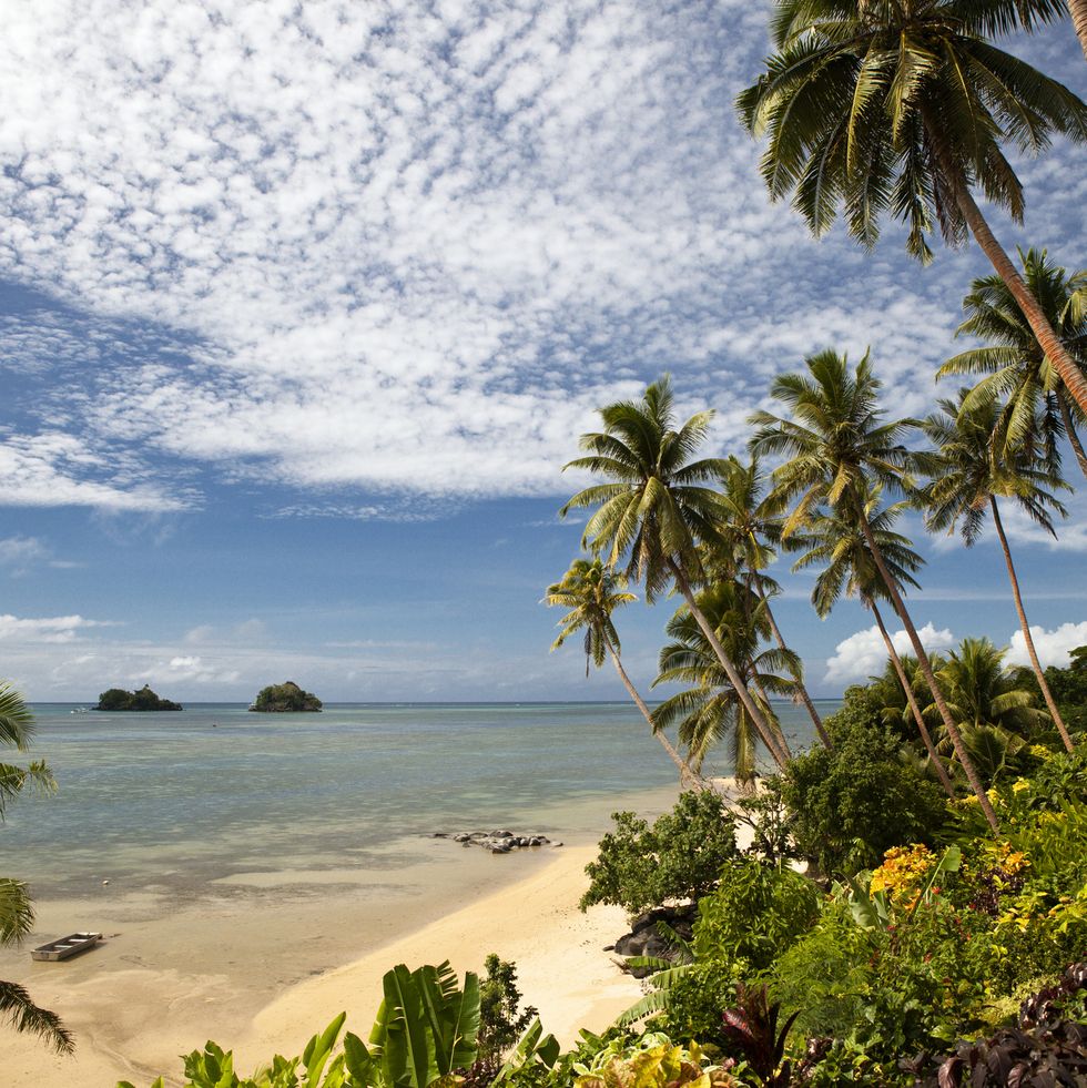 scenic shoreline of taveuni, fiji