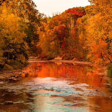 scenic view of cuyahoga river in cuyahoga valley national park in the autumn forest