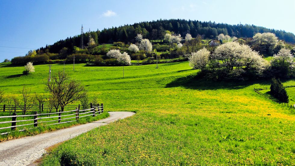 sterzing