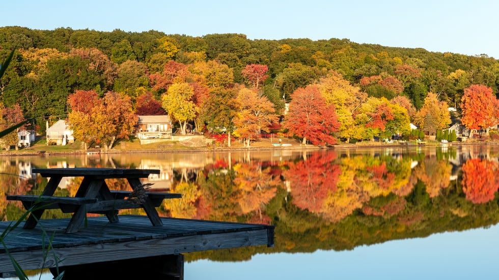 scenic view of lake by trees against sky during autumn,connecticut,united states,usa