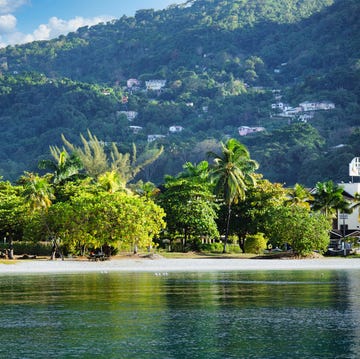 scenic view of lake by trees against sky,ocho rios,jamaica