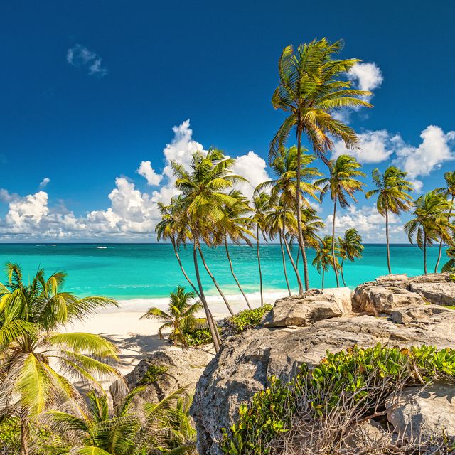 scenic view of sea against blue sky,bowling alley hill,barbados